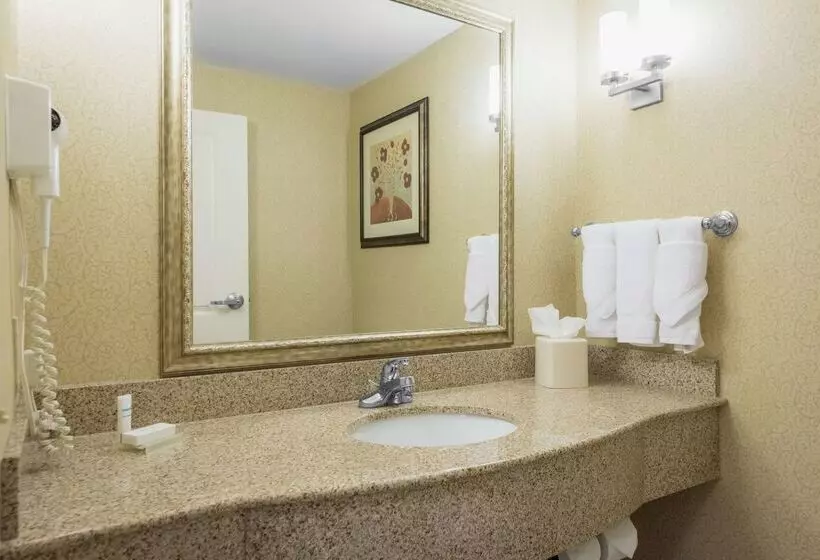 هتل Hilton Garden Inn Meridian