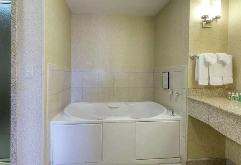 هتل Hilton Garden Inn Meridian