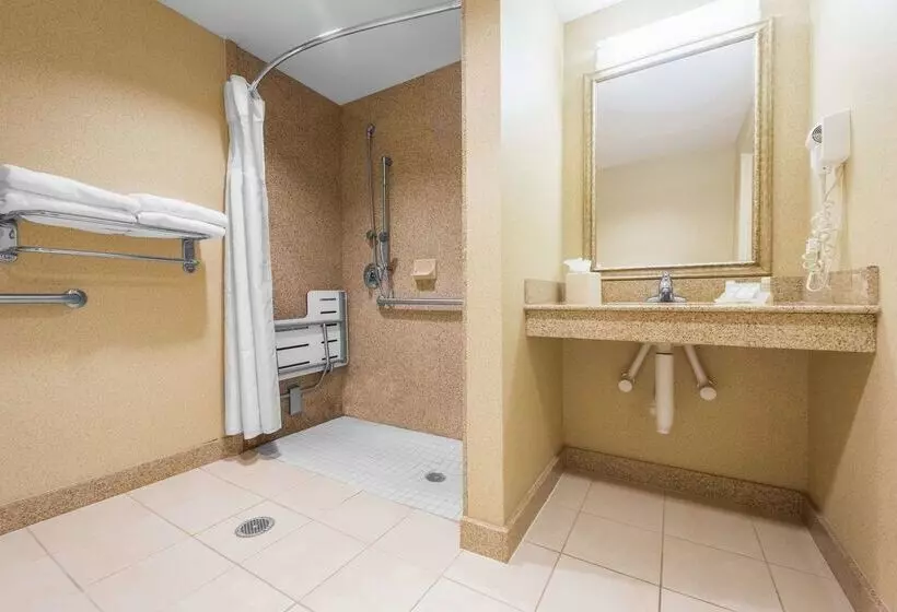 هتل Hilton Garden Inn Meridian