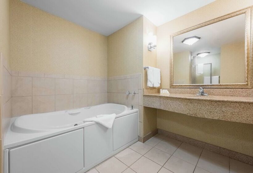 ホテル Hilton Garden Inn Meridian