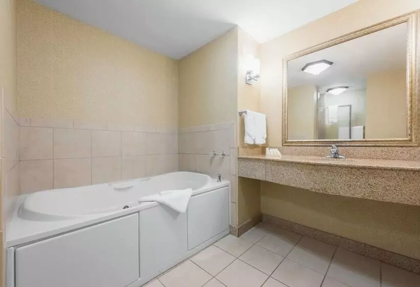 هتل Hilton Garden Inn Meridian