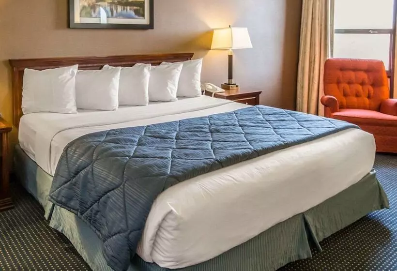 בית מלון כפרי Quality Inn Schaumburg Chicago Near The Mall