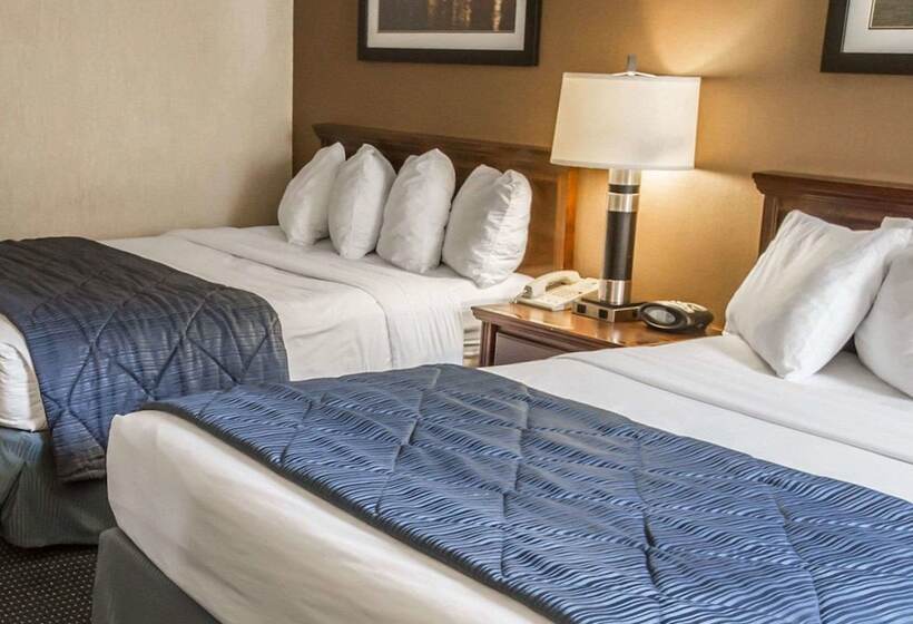 فندق Quality Inn Schaumburg  Chicago Near The Mall