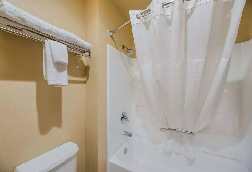 Surestay Plus Hotel By Best Western Silver City