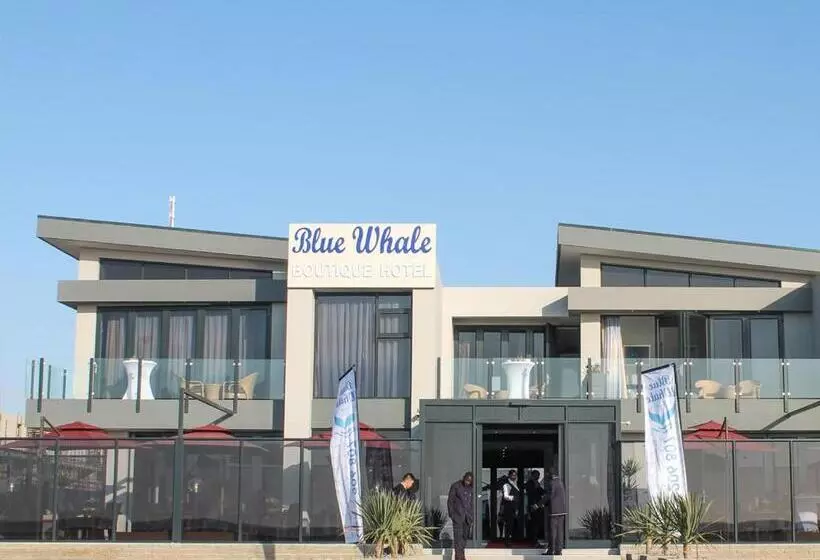 Blue Whale Hotels