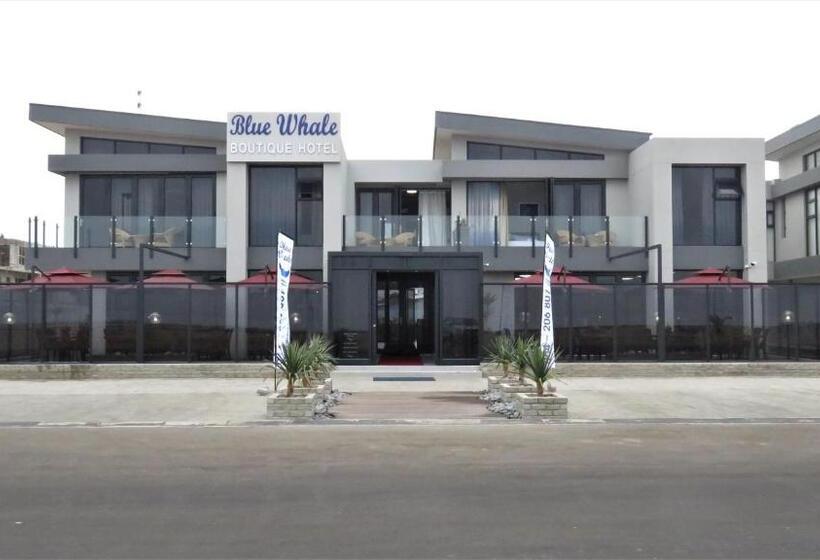Blue Whale Hotels