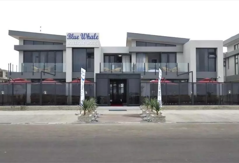 Blue Whale Hotels