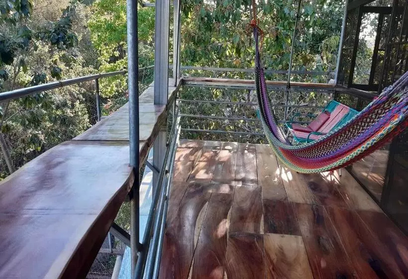 پانسیون Hostal Raíces De Mi Pueblo
