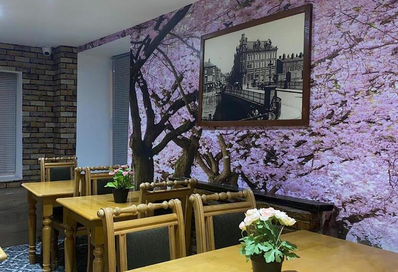 ベッドアンドブレックファースト The Town