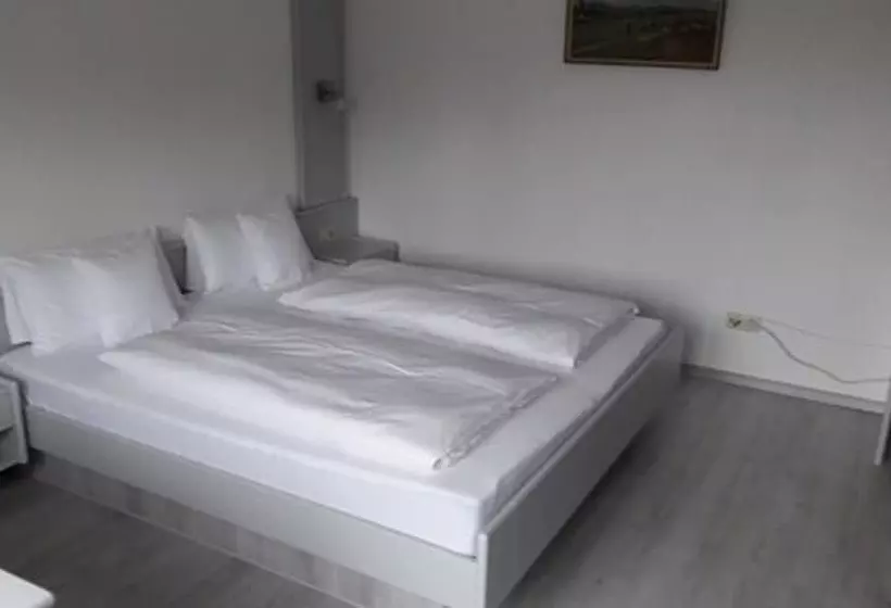 Hotelli Leiselheimer Hof