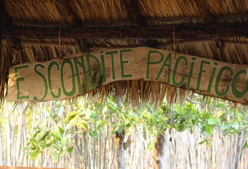 هاستل Escondite Pacifico