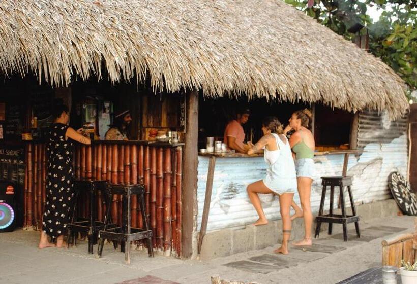 هاستل Escondite Pacifico