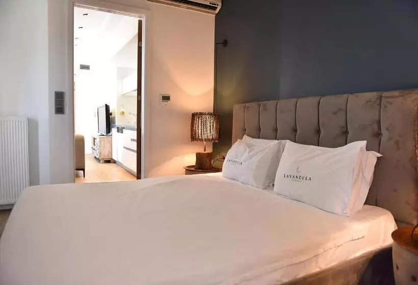 هتل Levent Lavandula