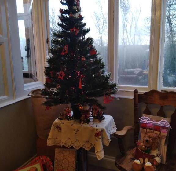 Llanwrtyd Hall B&b Angelis Holistic Retreat