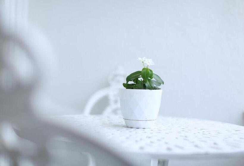 בית מלון כפרי Vila Mare