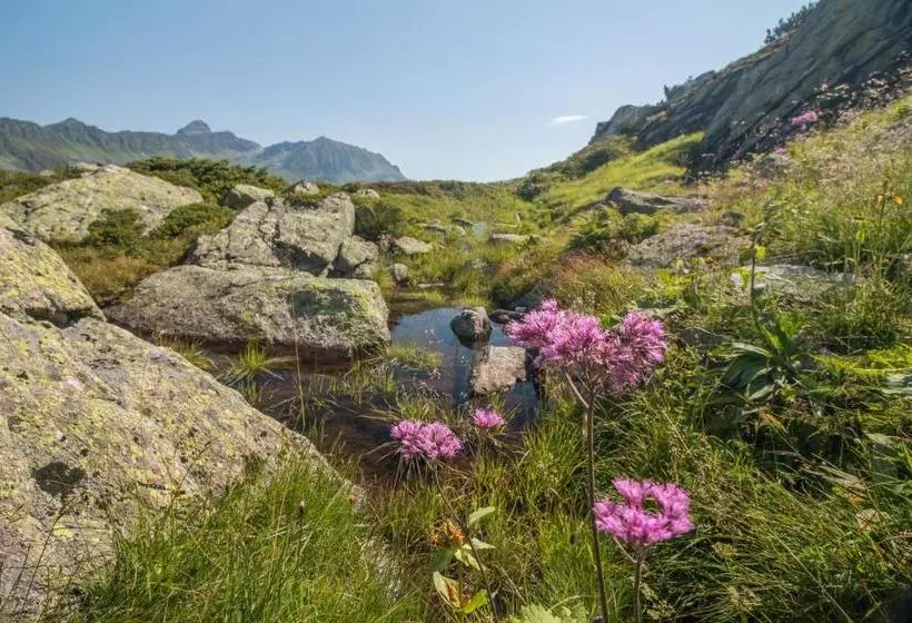 Hotelli Bradabella   Montafon