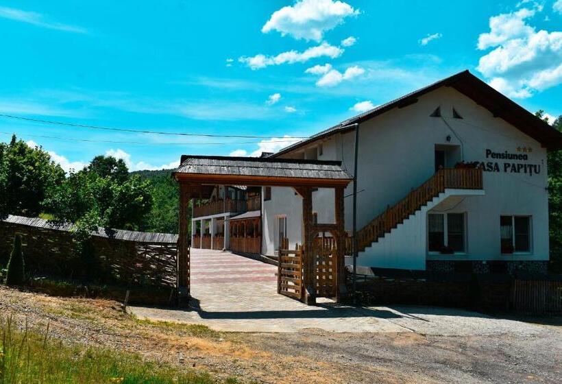펜션 Casa Papițu
