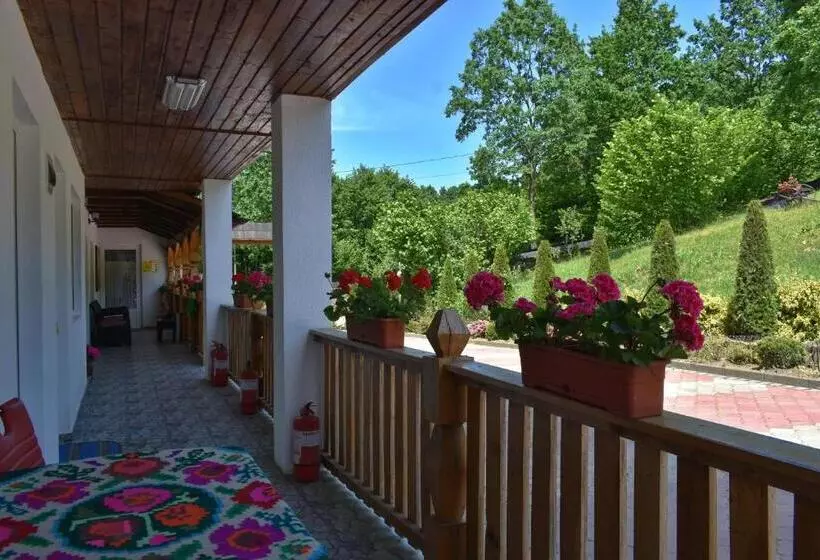 ペンション Casa Papițu
