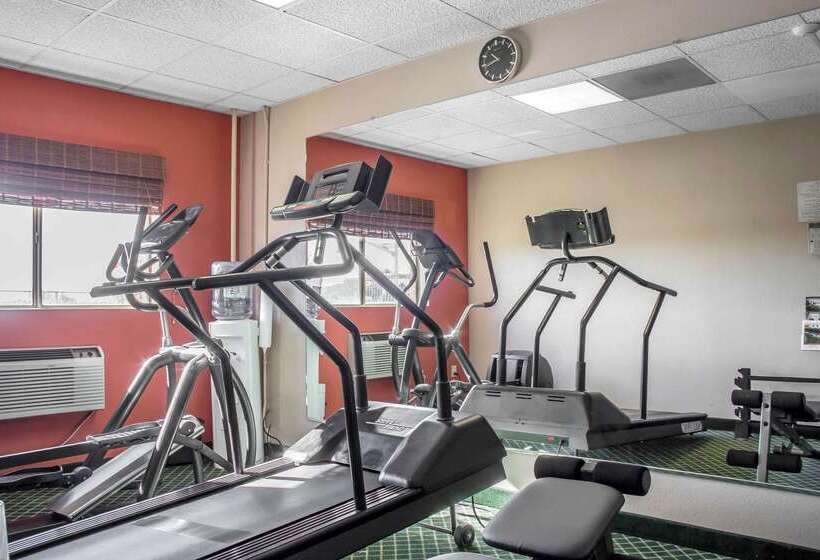 בית מלון כפרי Comfort Inn & Suites Near Kino Sports Complex