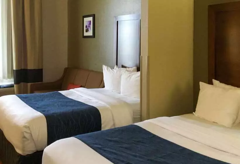هتل Comfort Inn & Suites Near Kino Sports Complex