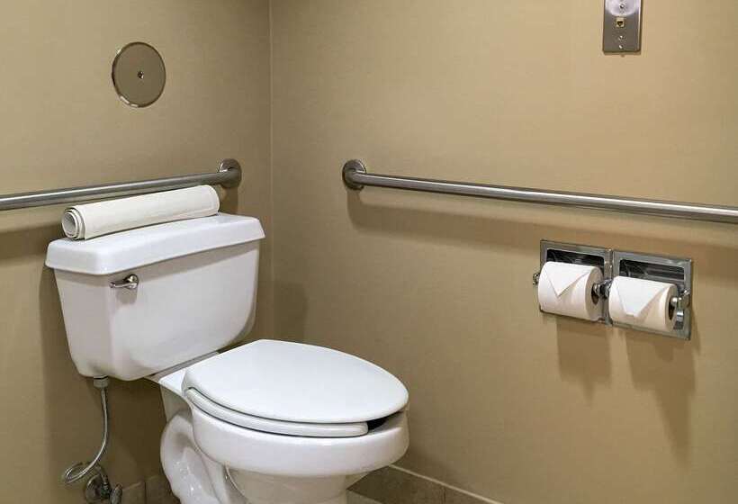 בית מלון כפרי Comfort Inn & Suites Near Kino Sports Complex