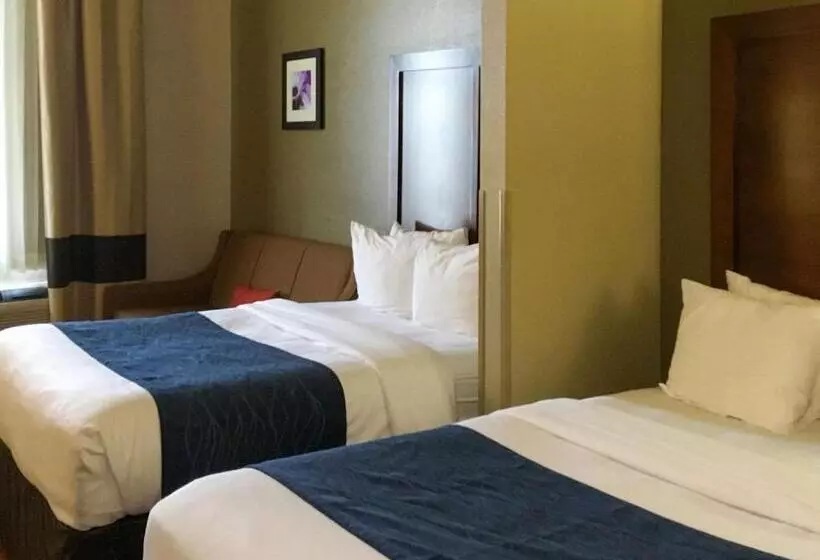 هتل Comfort Inn & Suites Near Kino Sports Complex