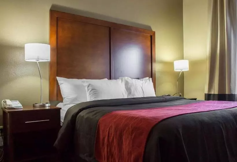 هتل Comfort Inn & Suites Near Kino Sports Complex