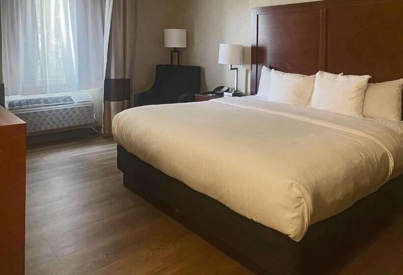 בית מלון כפרי Comfort Inn & Suites Phoenix North Deer Valley