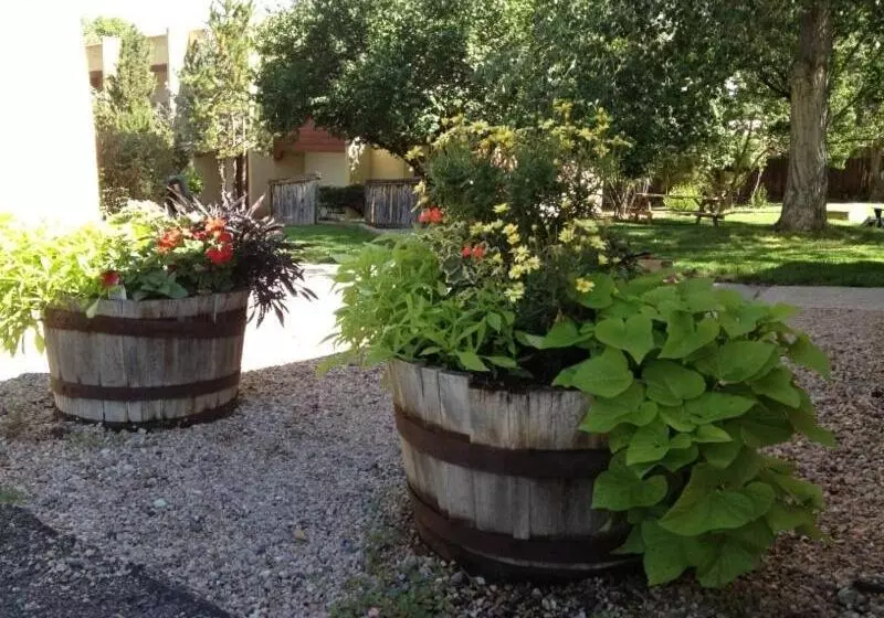 Отель El Pueblo Lodge