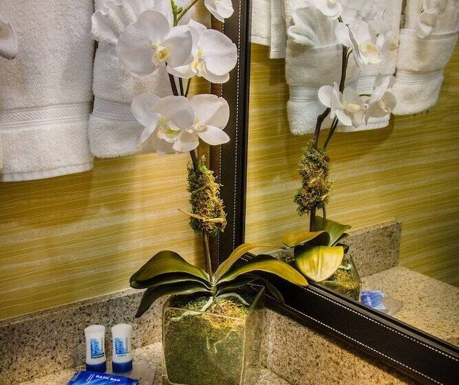 فندق Fairfield Inn & Suites Dulles Airport