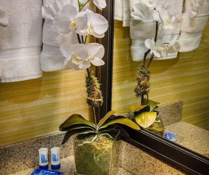 בית מלון כפרי Fairfield Inn & Suites Dulles Airport