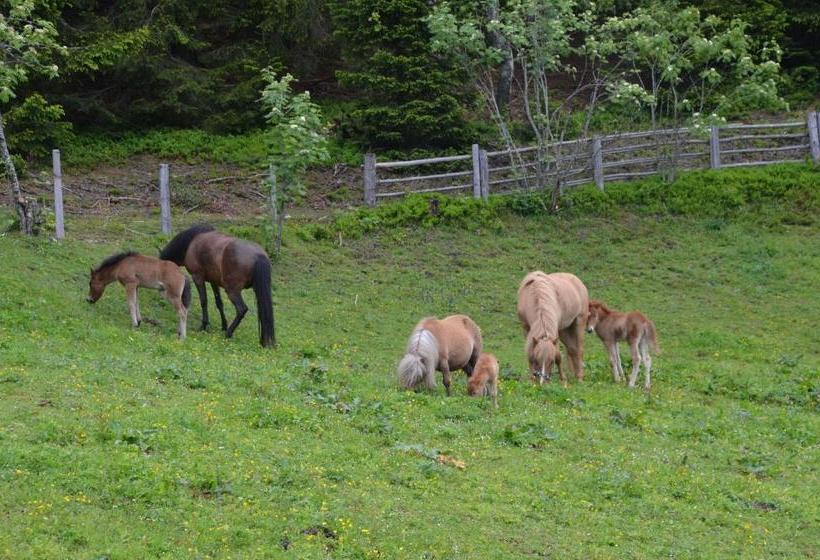 ペンション Oberegghof