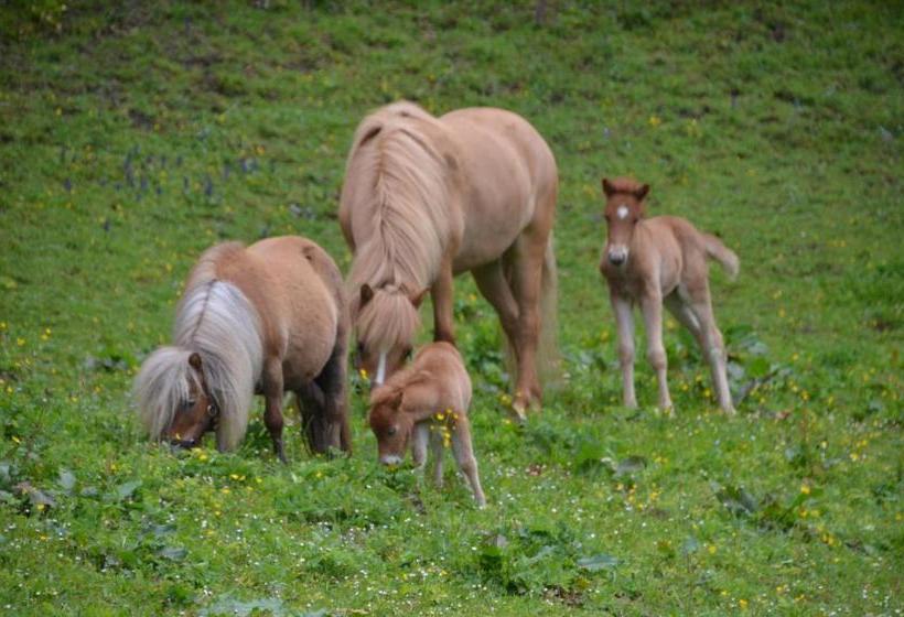 ペンション Oberegghof