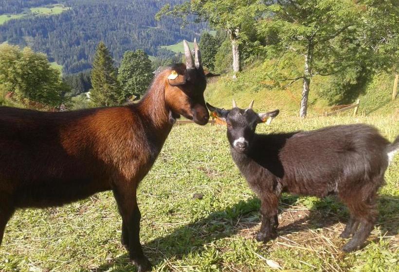 ペンション Oberegghof