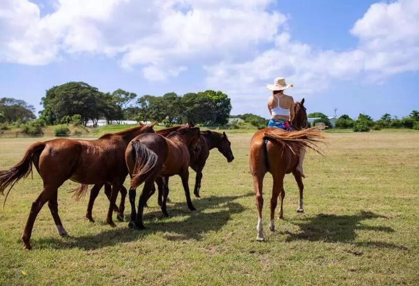 هتل Bellevue Sanctuary