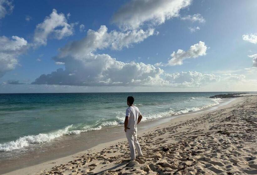 هتل Bellevue Sanctuary