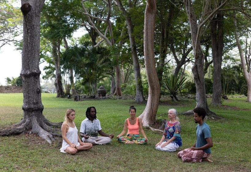 هتل Bellevue Sanctuary