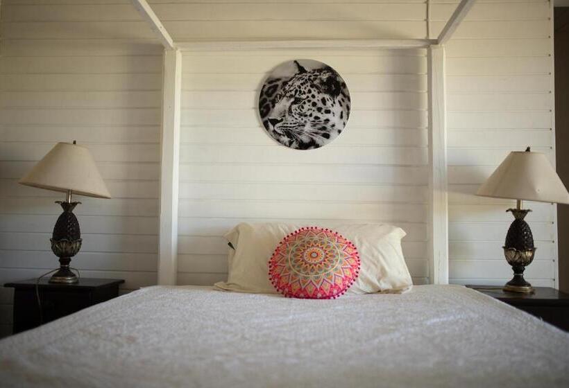 هتل Bellevue Sanctuary