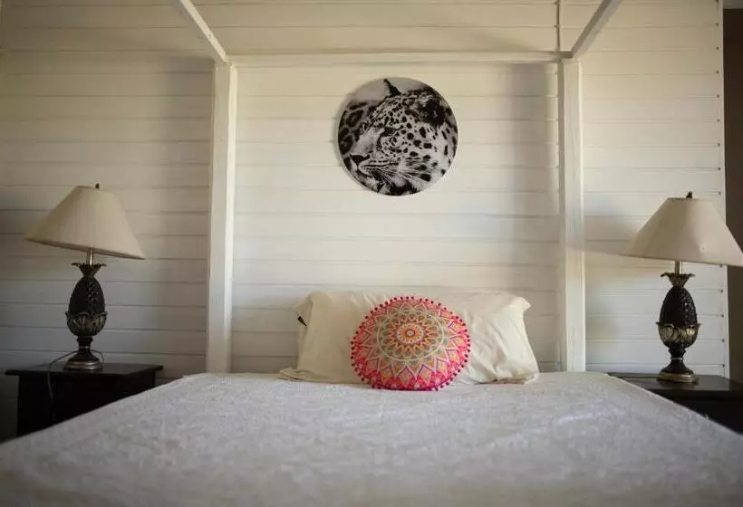 هتل Bellevue Sanctuary