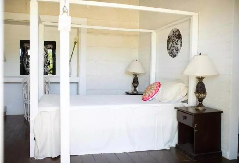 هتل Bellevue Sanctuary