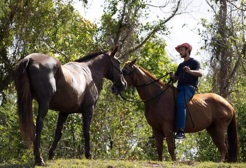 هتل Bellevue Sanctuary