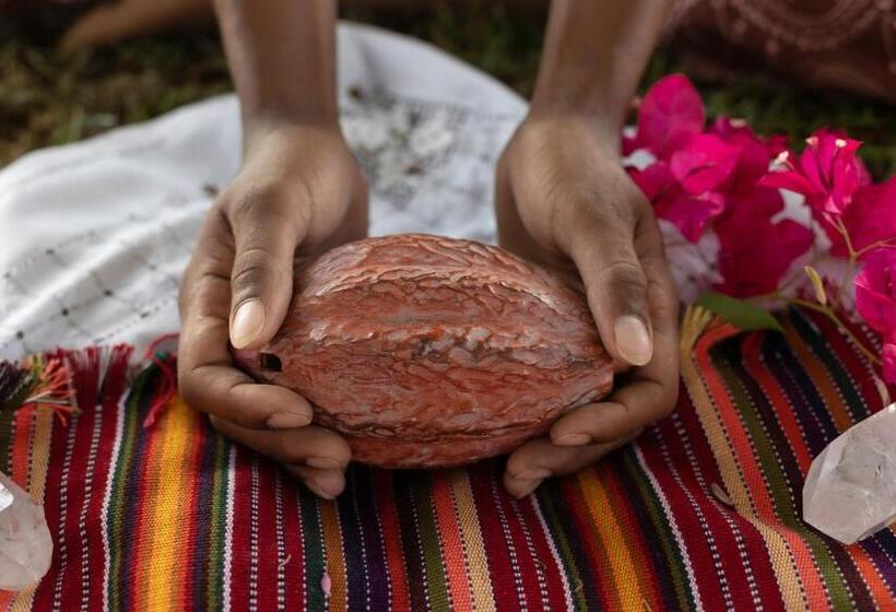 هتل Bellevue Sanctuary