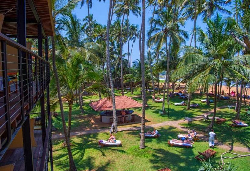 Mermaid Hotel & Club