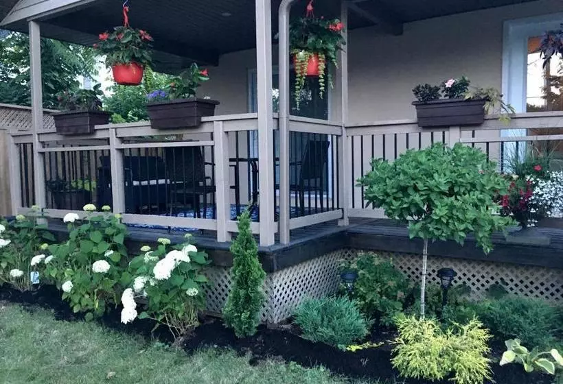 Summer Solstice Bed & Breakfast