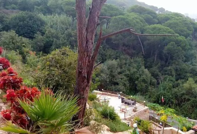 تختخواب و صبحانه Pinewood
