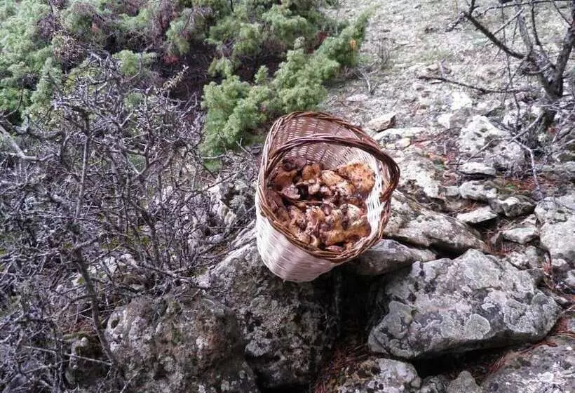 هتل Restaurante Torres De Albarracín