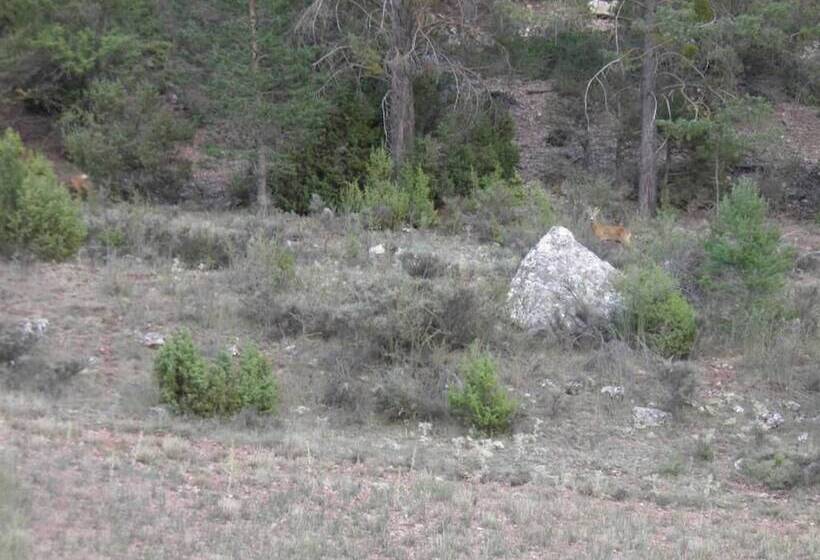 فندق Restaurante Torres De Albarracín