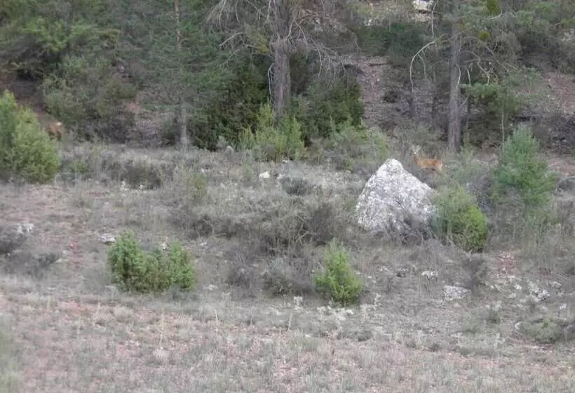 هتل Restaurante Torres De Albarracín