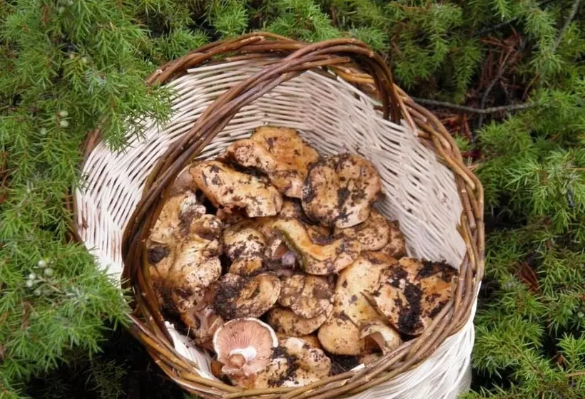هتل Restaurante Torres De Albarracín
