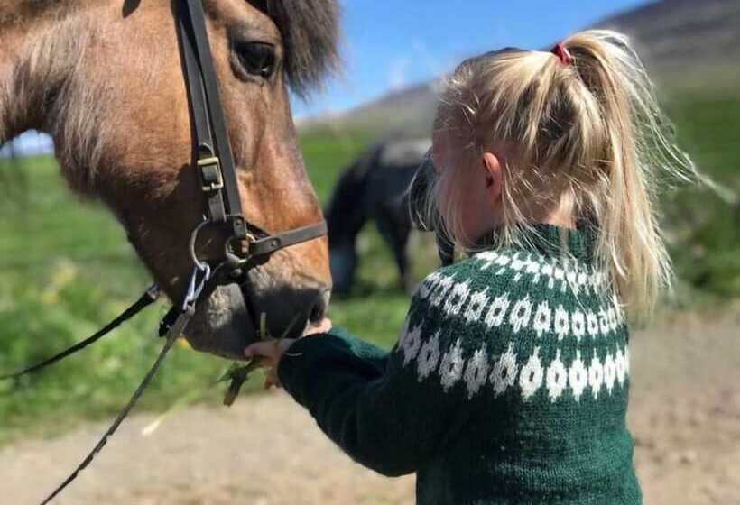 پانسیون Syðra Skörðugil Guesthouse